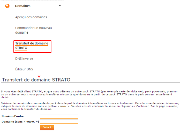 Commande de domaines via l’espace client du serveur-1.png